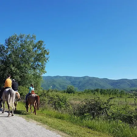 Vakantiehuis Kerkini's Harmony House *