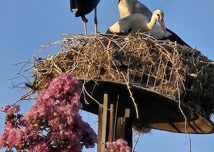 Kerkini's Harmony House * Kerkíni