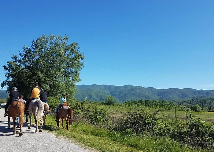 Vakantiehuis Kerkini's Harmony House *