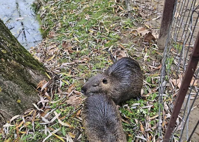 Vakantiehuis Kerkini's Harmony House *