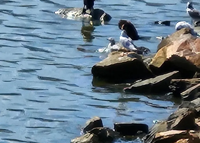 Vakantiehuis Kerkini's Harmony House Kerkíni